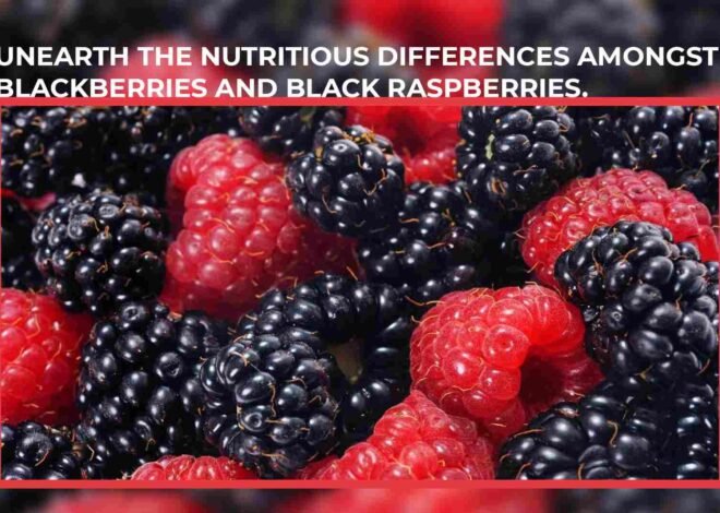 Nutritious Differences Amongst Blackberries and Black Raspberries. 